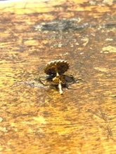 画像をギャラリービューアに読み込む, BLD200 SIGNET PIERCE &quot;K10 GOLD&quot;
